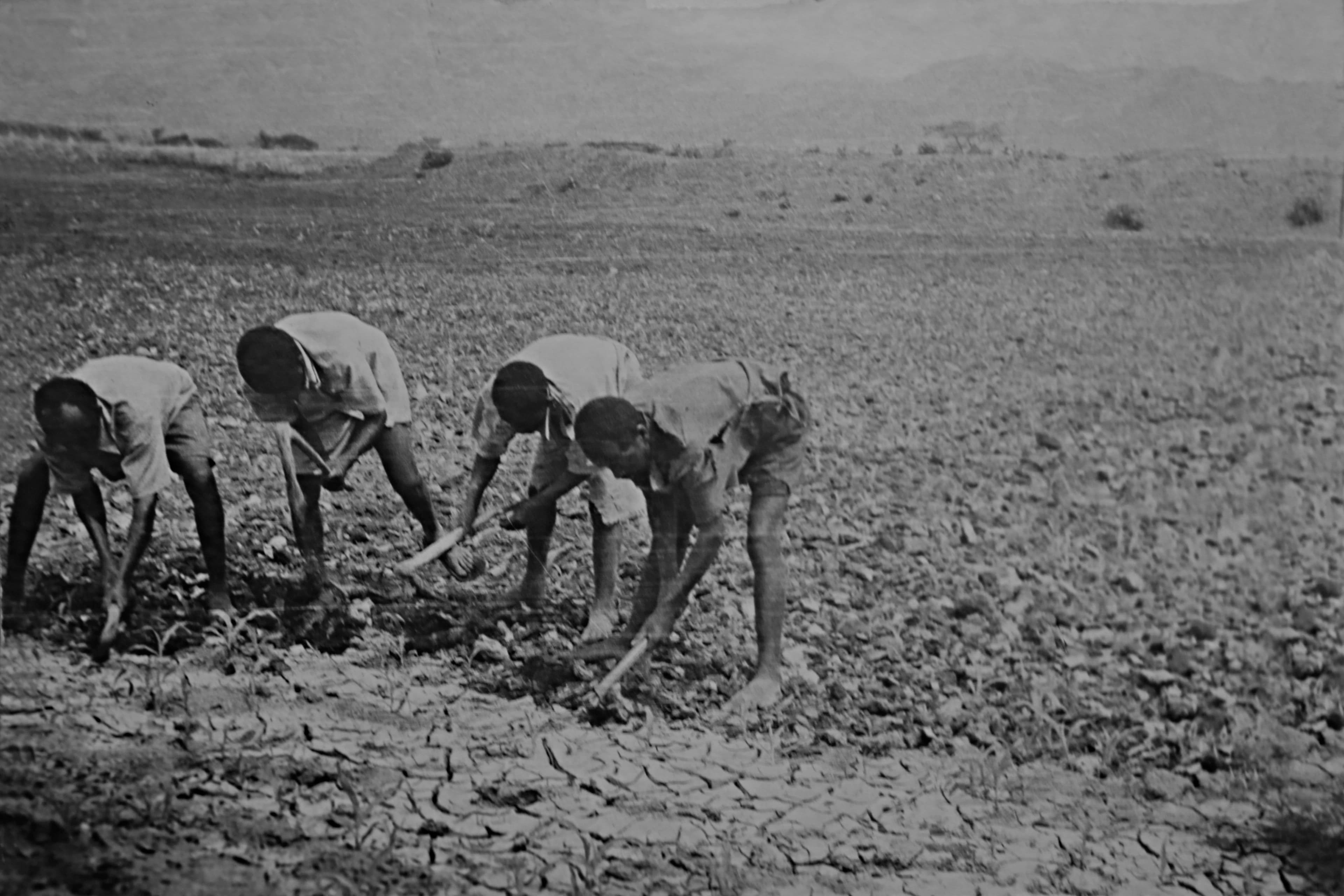 Historical archive photograph 7