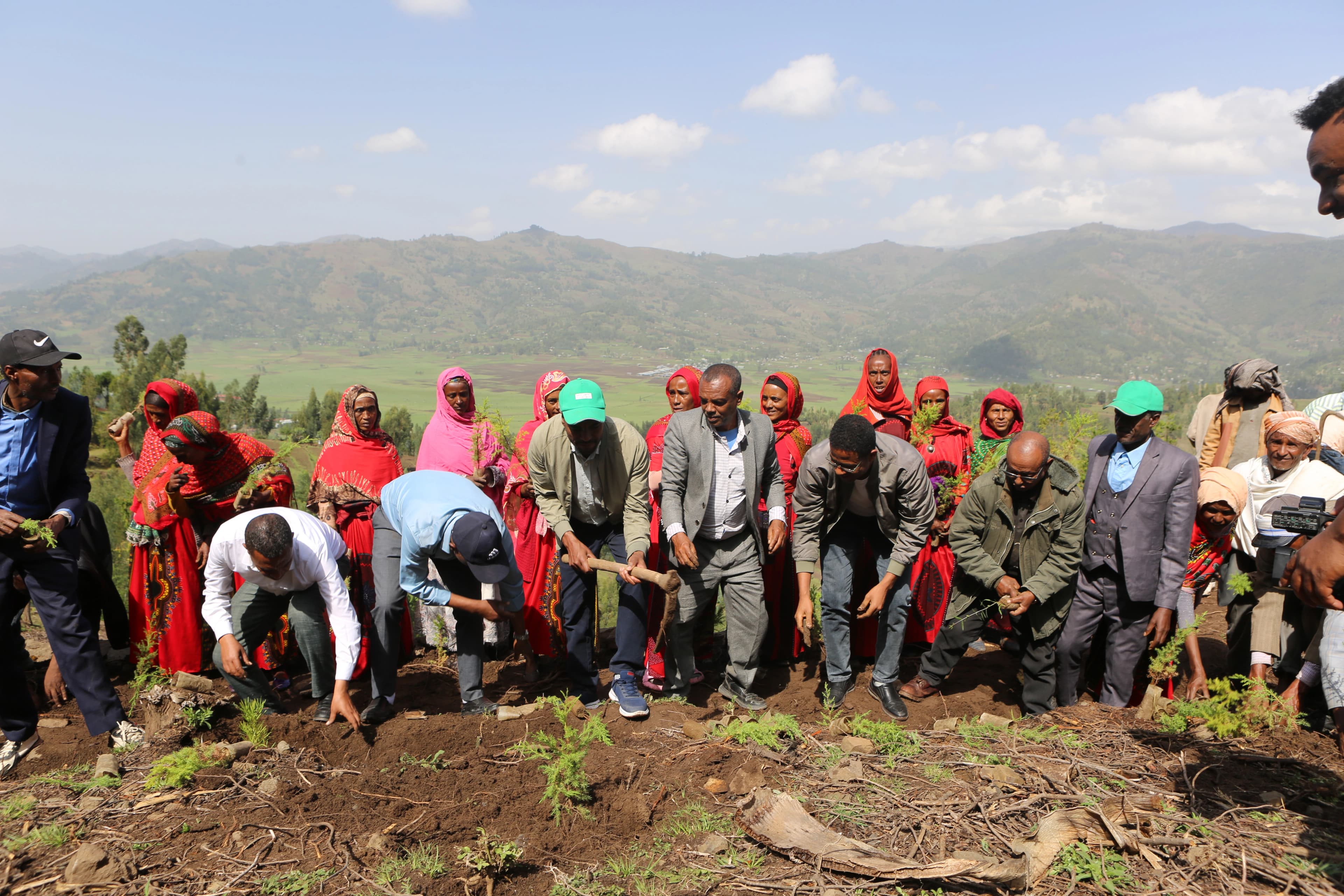 Environmental Restoration and Greening Efforts