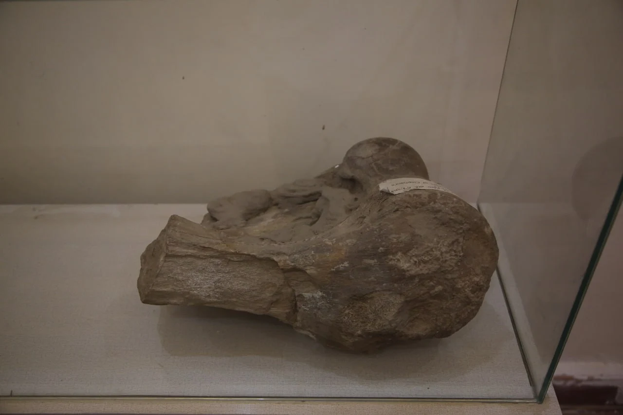 Heritage collection campaign